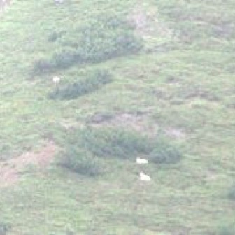 Screen Shot 2016-07-14 at 9.17.35 PM.jpg